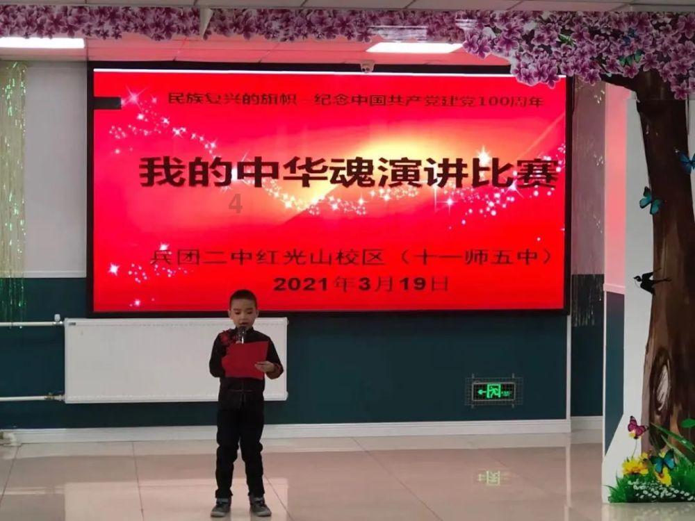 寻找萌宠松鼠